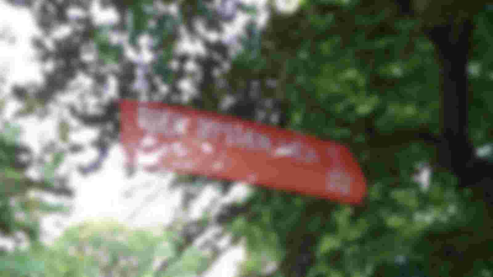 Buitenspelen is Ons Genoegen