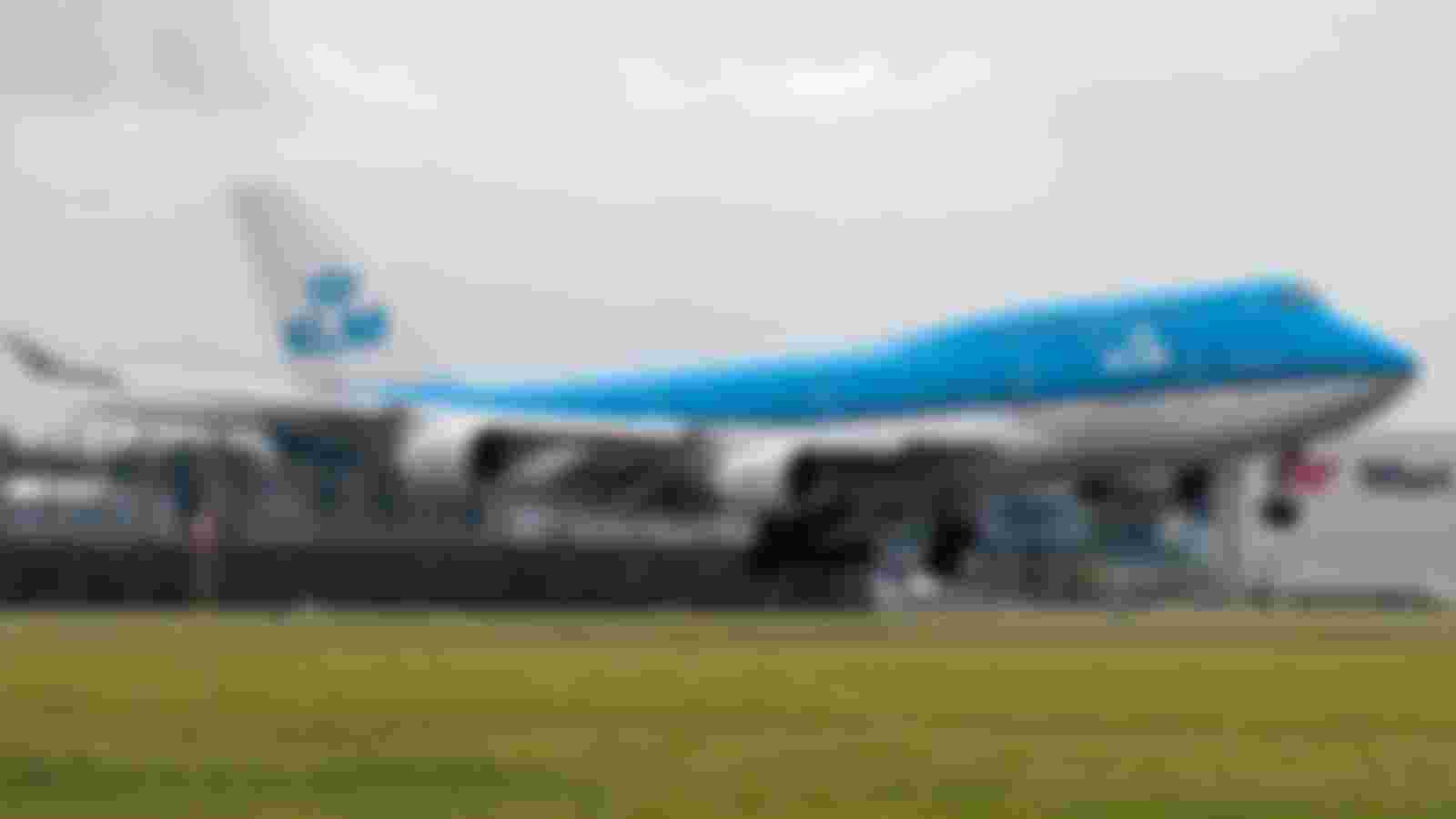 Bob zoekt een maatje