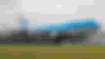 Bob zoekt een maatje