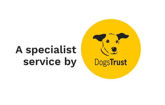 Dog foster carers needed