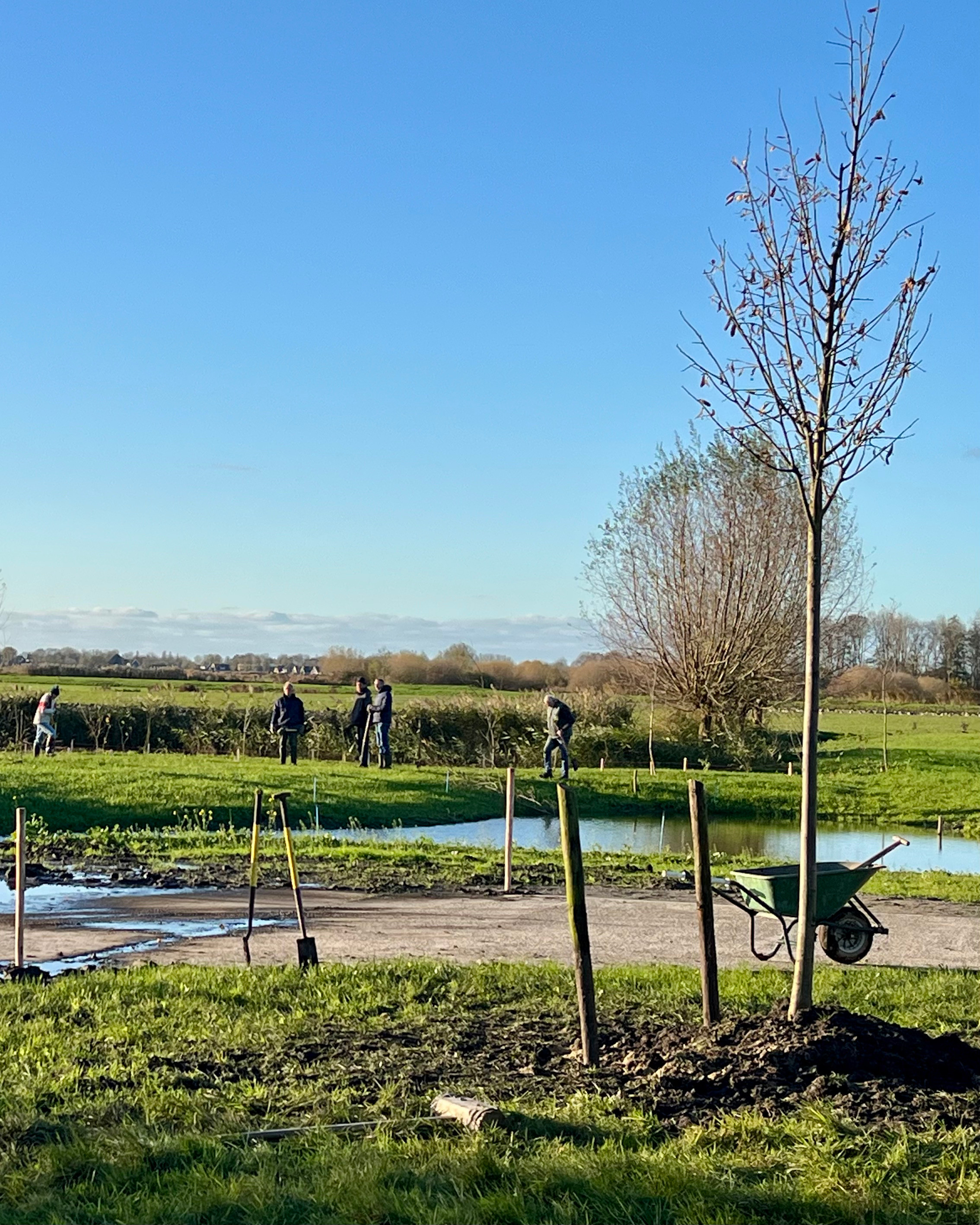 Kom helpen in ons voedselbos