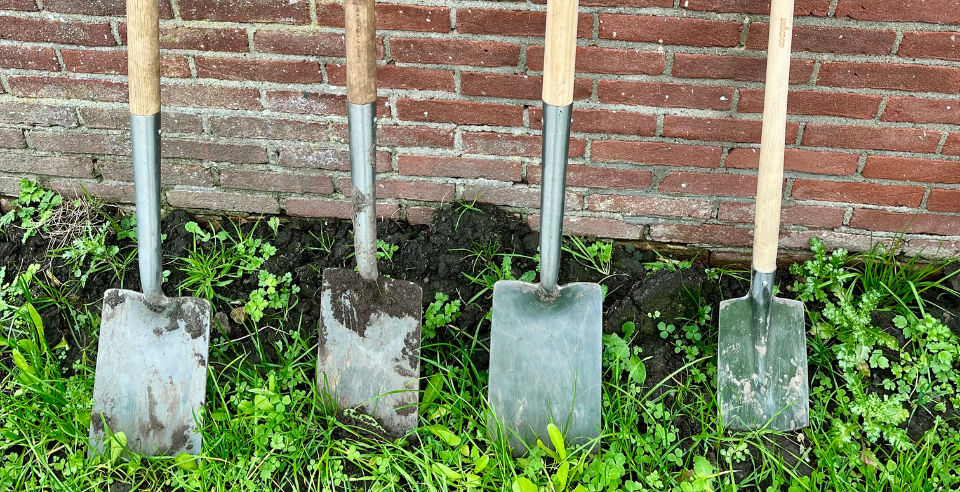 Kom helpen in ons voedselbos