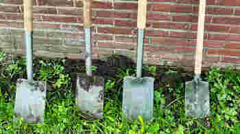 Kom helpen in ons voedselbos