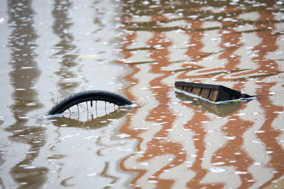 Gastdocent Voortgezet Onderwijs en MBO