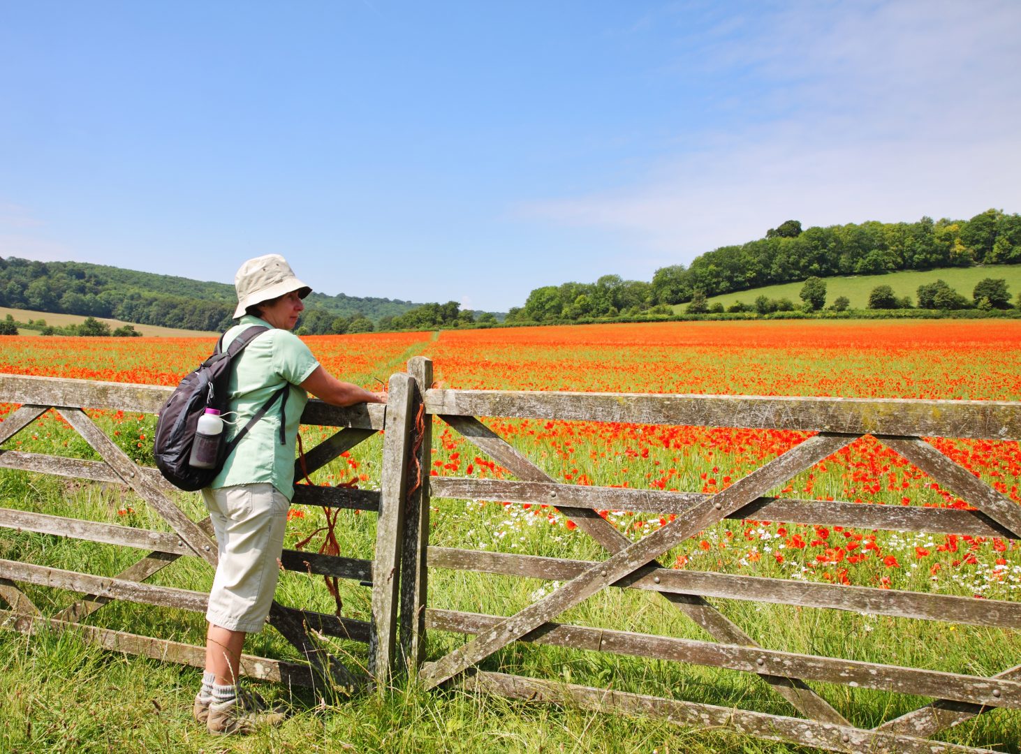 Planning Volunteer at CPRE Bucks