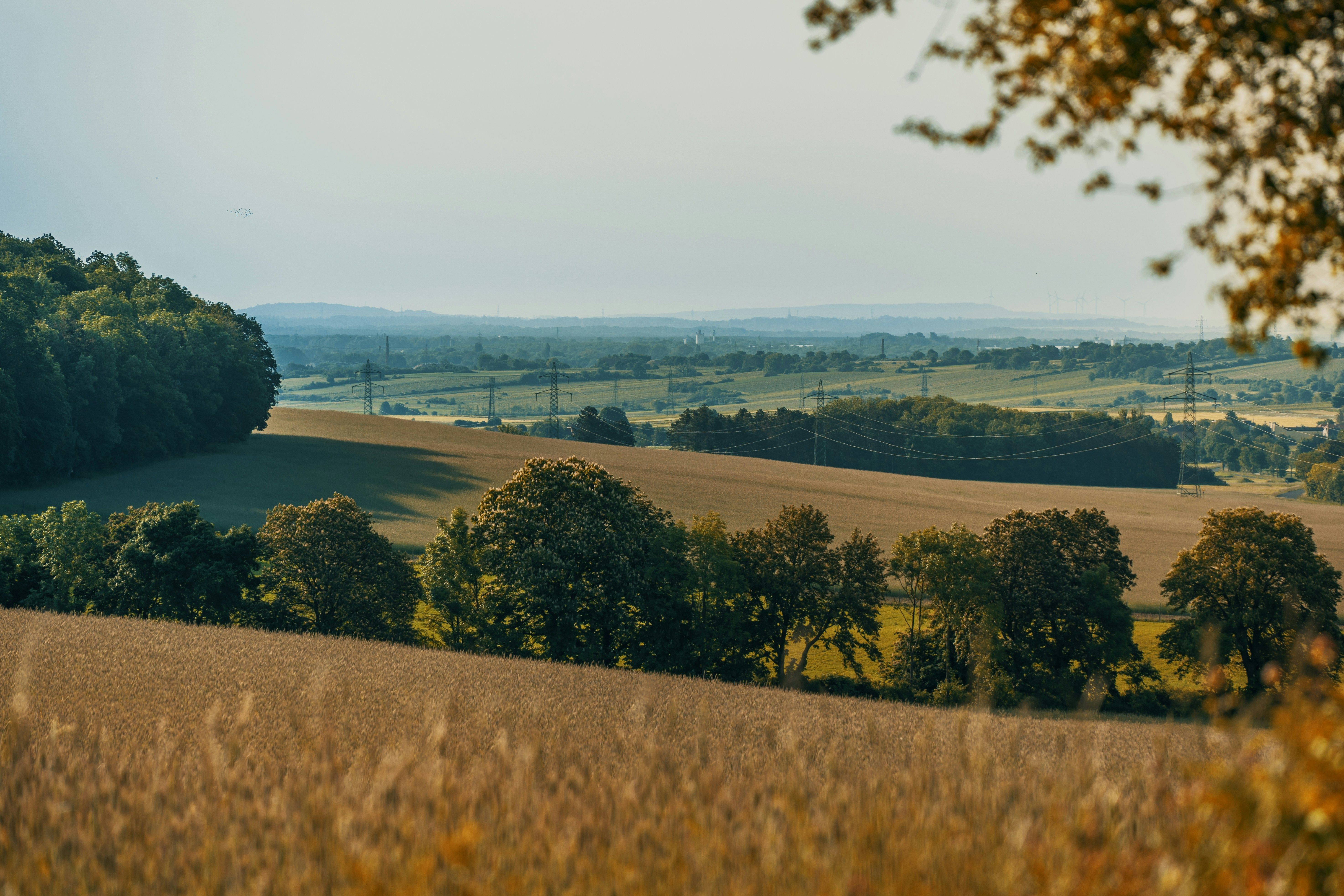 Chair of CPRE Buckinghamshire