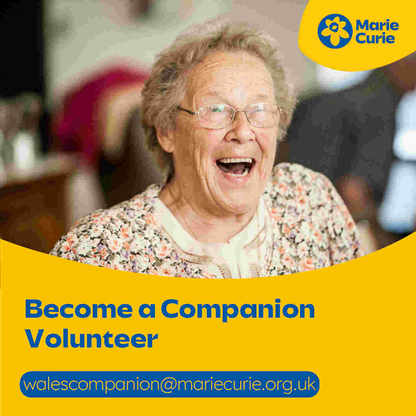 Companion Volunteer - QE Hospital