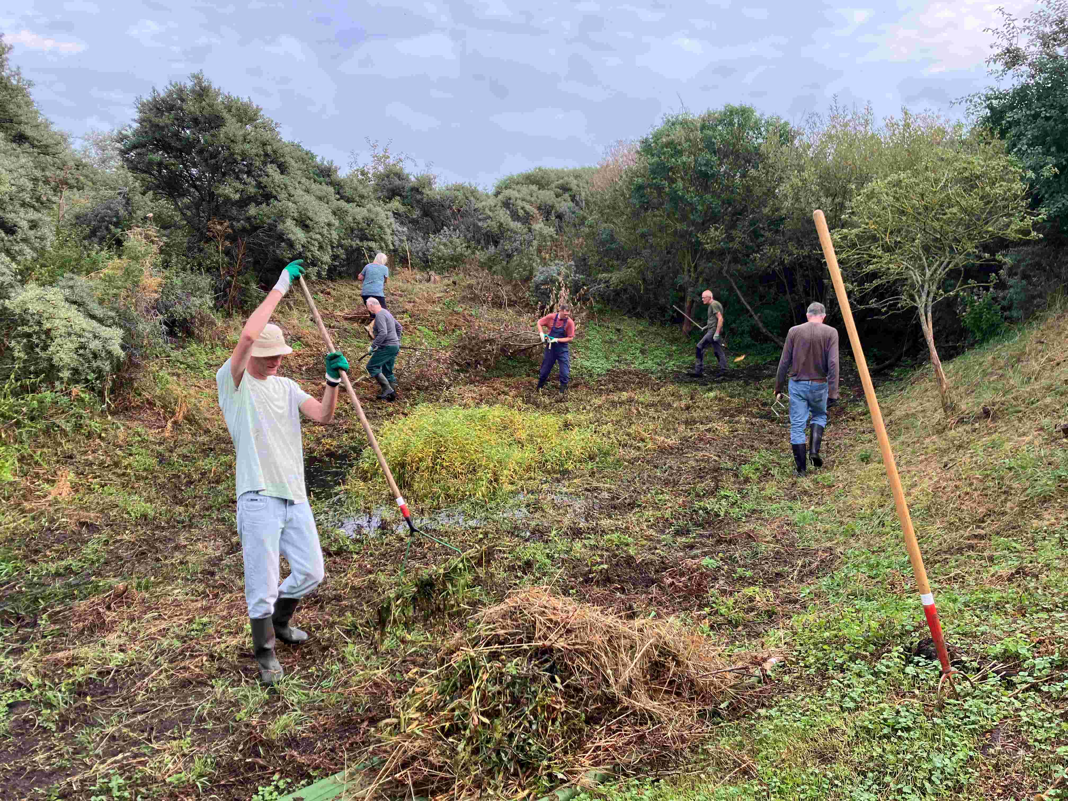 Paddenpoelen schonen IJmuiden Natuurwerkdag!
