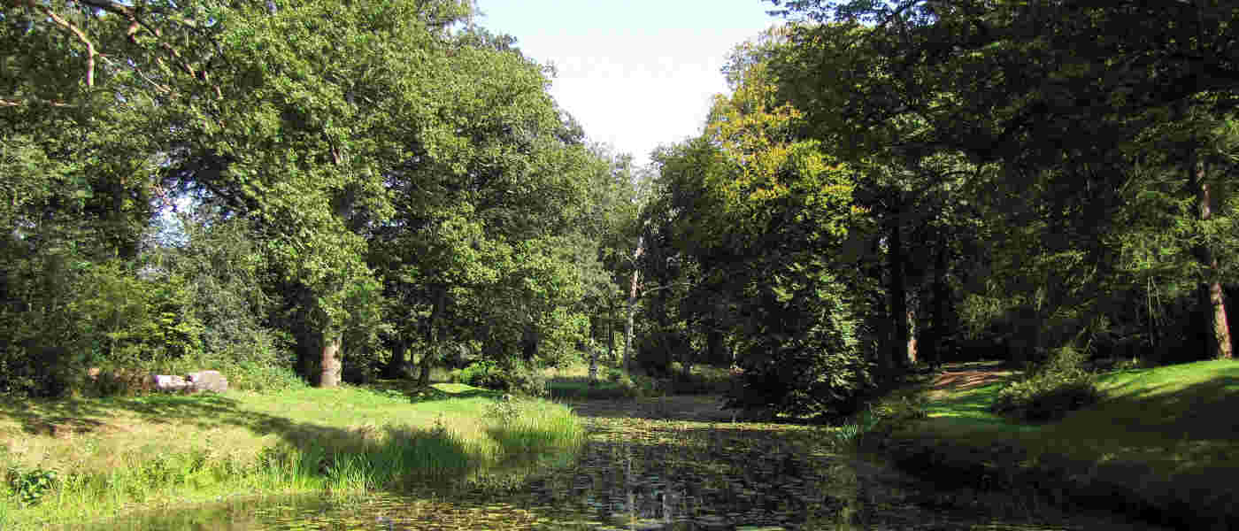 Maak landgoed Waterland natuurlijker...