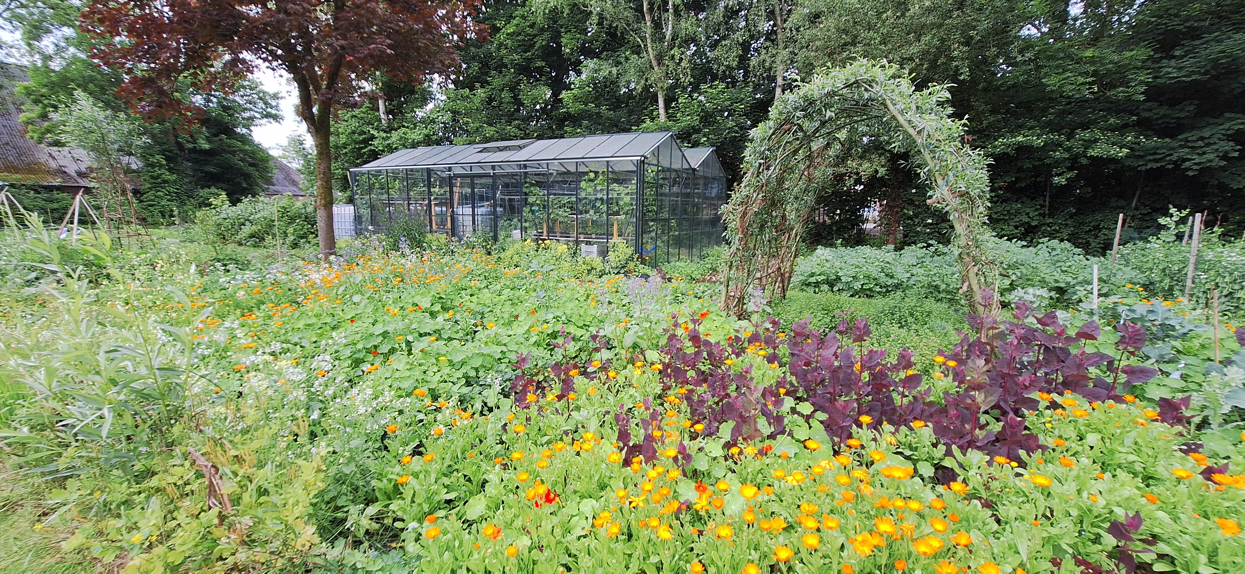 Tuinvrijwilligers voor de Cloostertuin in Kloosterburen