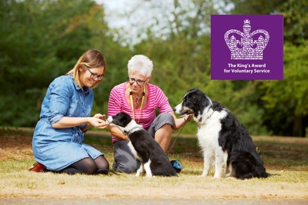 Pets As Therapy (PAT) Dog Volunteer