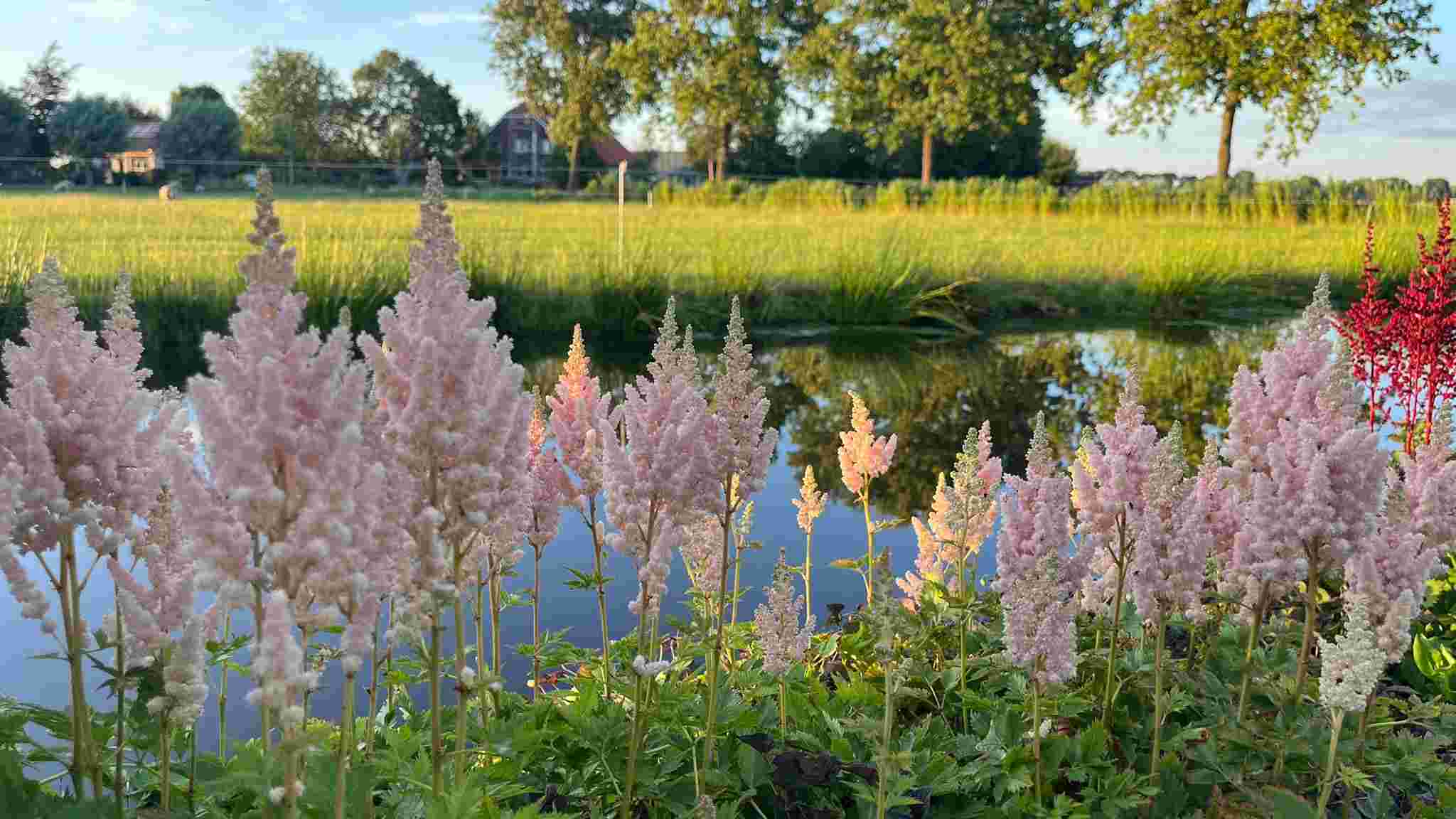 Wandelen en ontdekken wat er groeit en bloeit