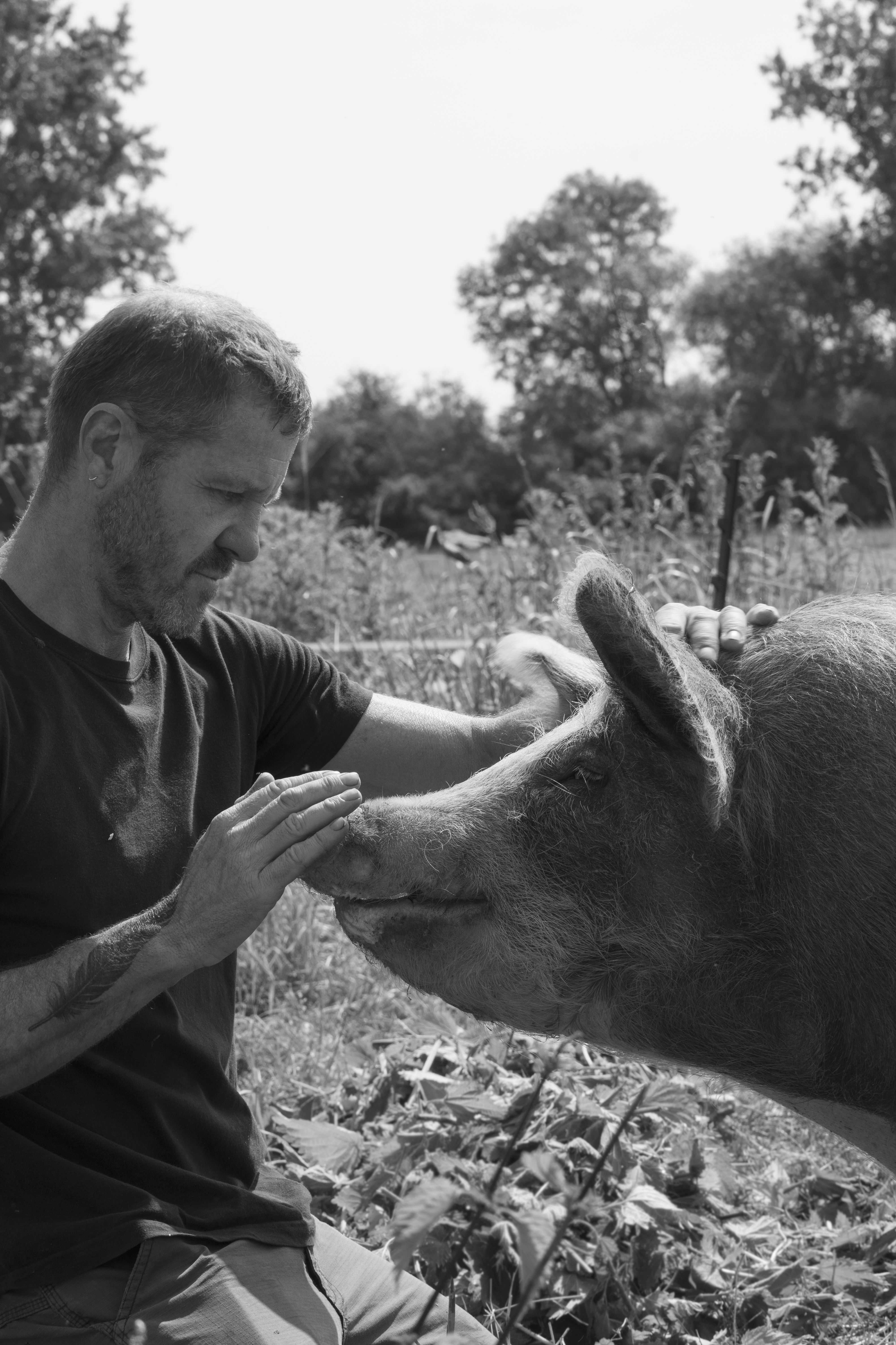 Animal Sanctuary Volunteer