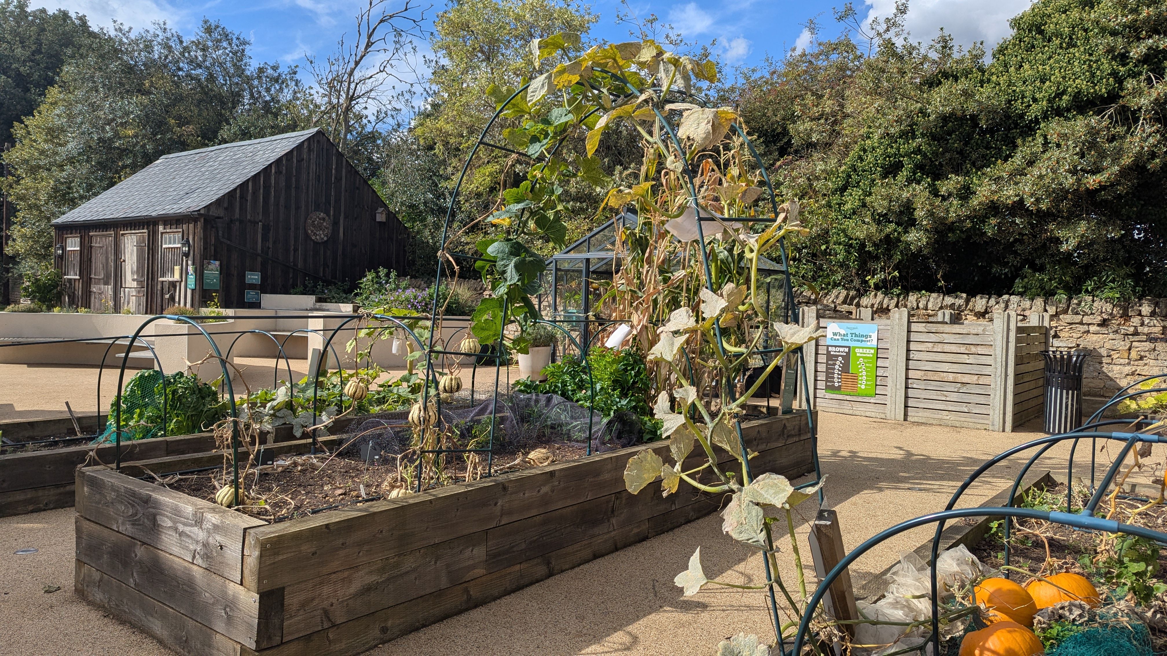 Garden Maintenance Volunteer