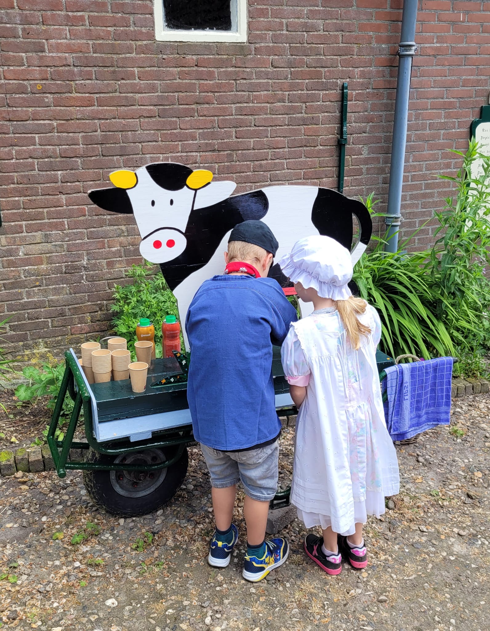 Helpen bij het bedenken en organiseren van activiteiten op Adriaans paradijs