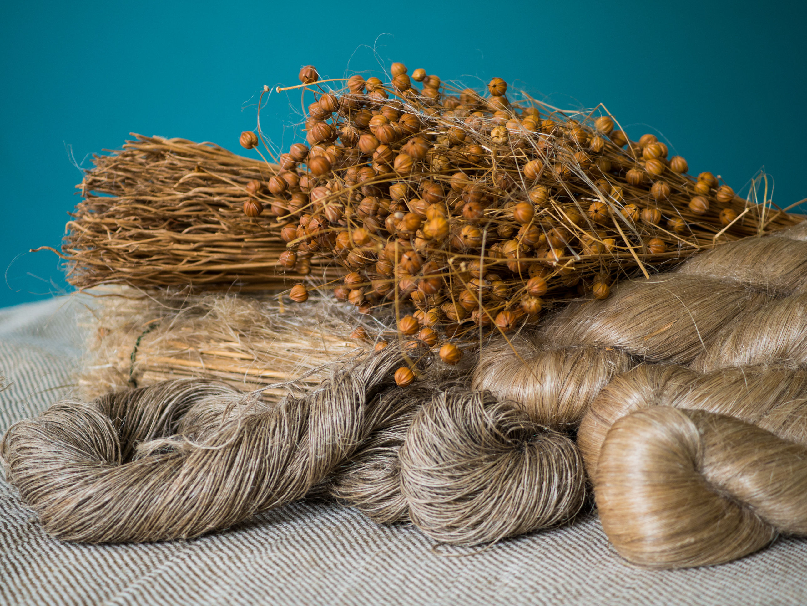 Medewerker  administratie