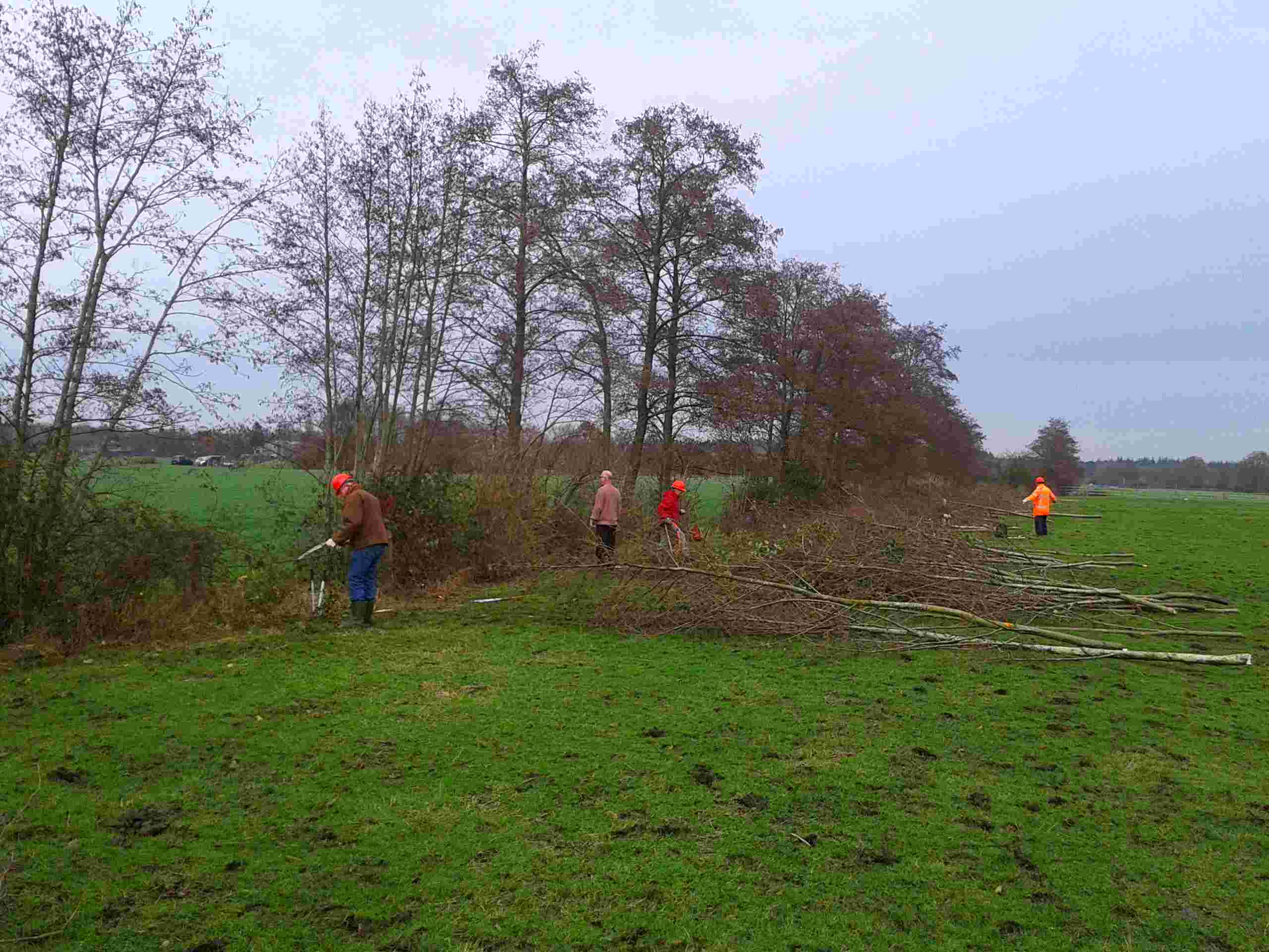 Vrijwilliger Landschapsbeheer Noorderpark