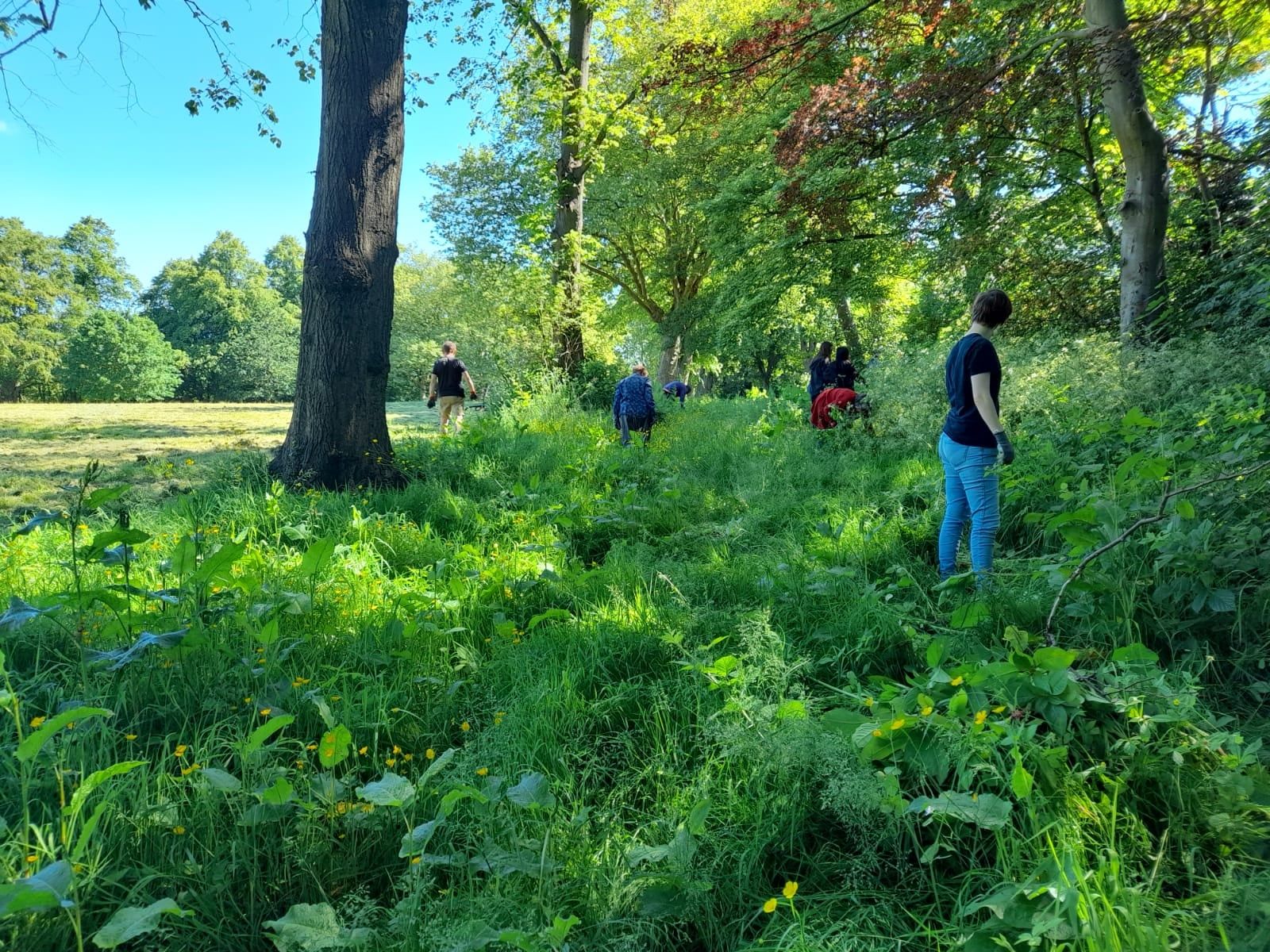 Gardening and Conservation Volunteers