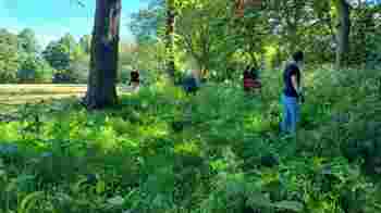 Gardening and Conservation Volunteers