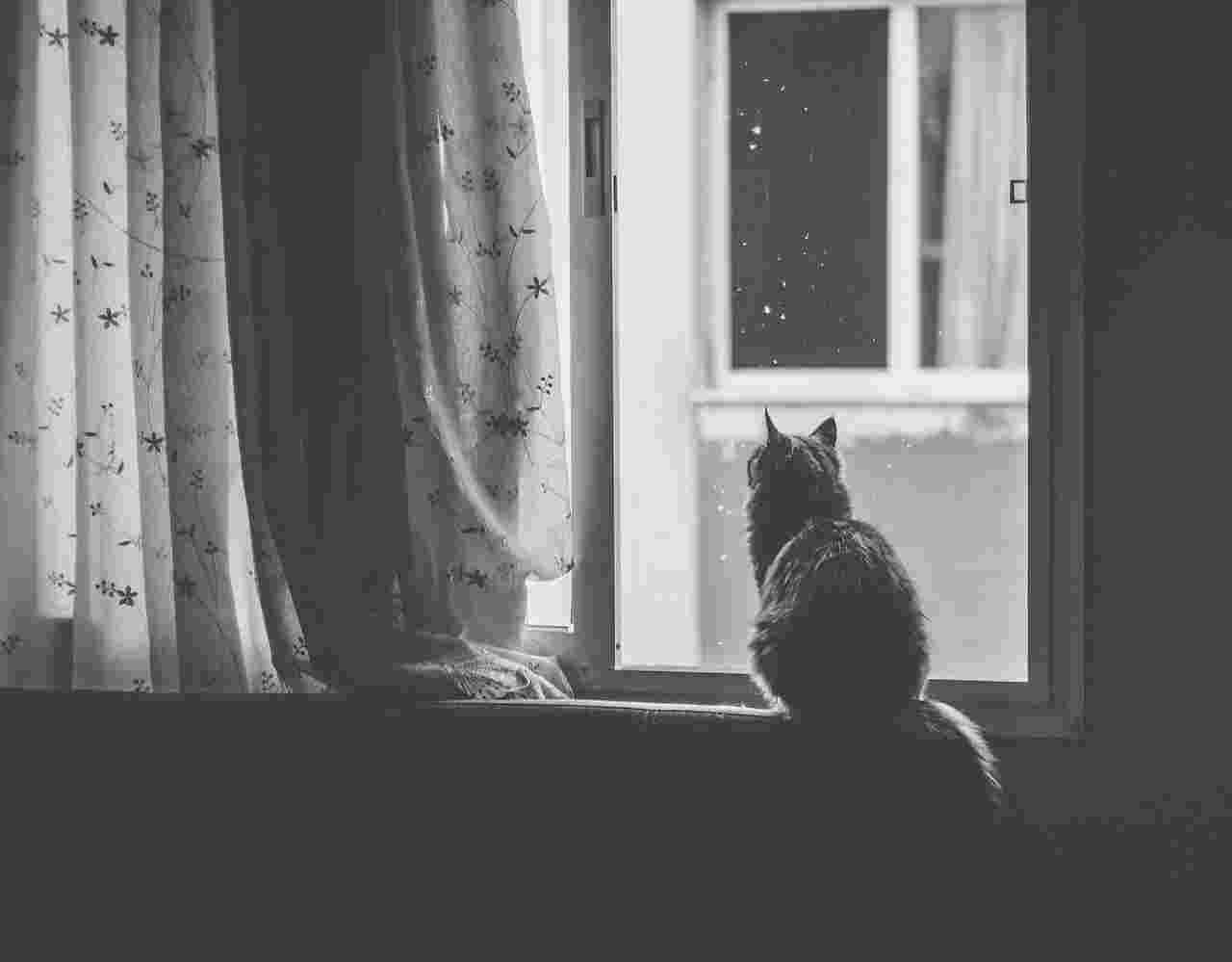 Boorheld, doe je ding en maak het verschil