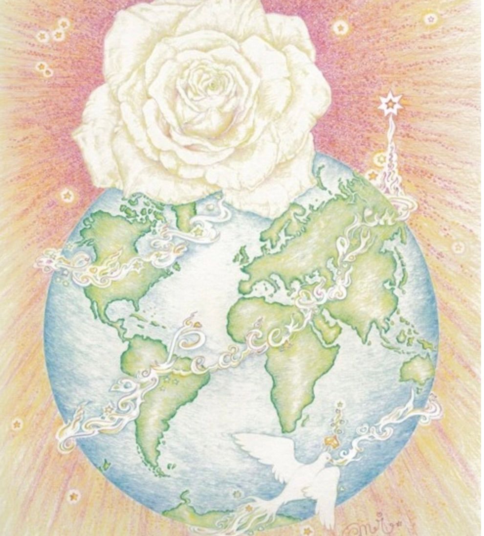 Rose of Peace