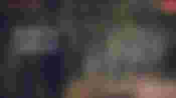 Digital Insights Hub Manager - Volunteer