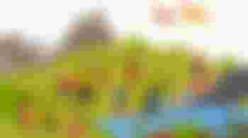 John Muir Award - provider workshop