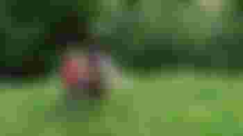 Houd jij van natuur? Word onze fondsenwerver!