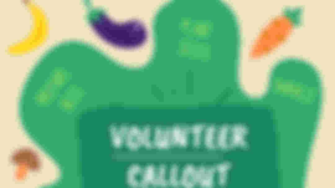 Community Allotment Volunteer