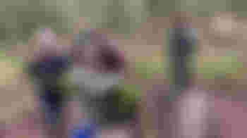 Vrijwilligers gezocht voor scouting