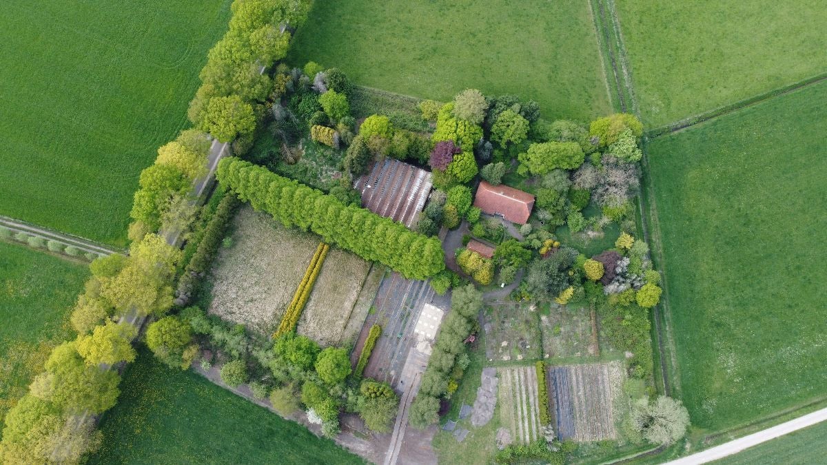 Doe mee met het gevecht tegen bramen!