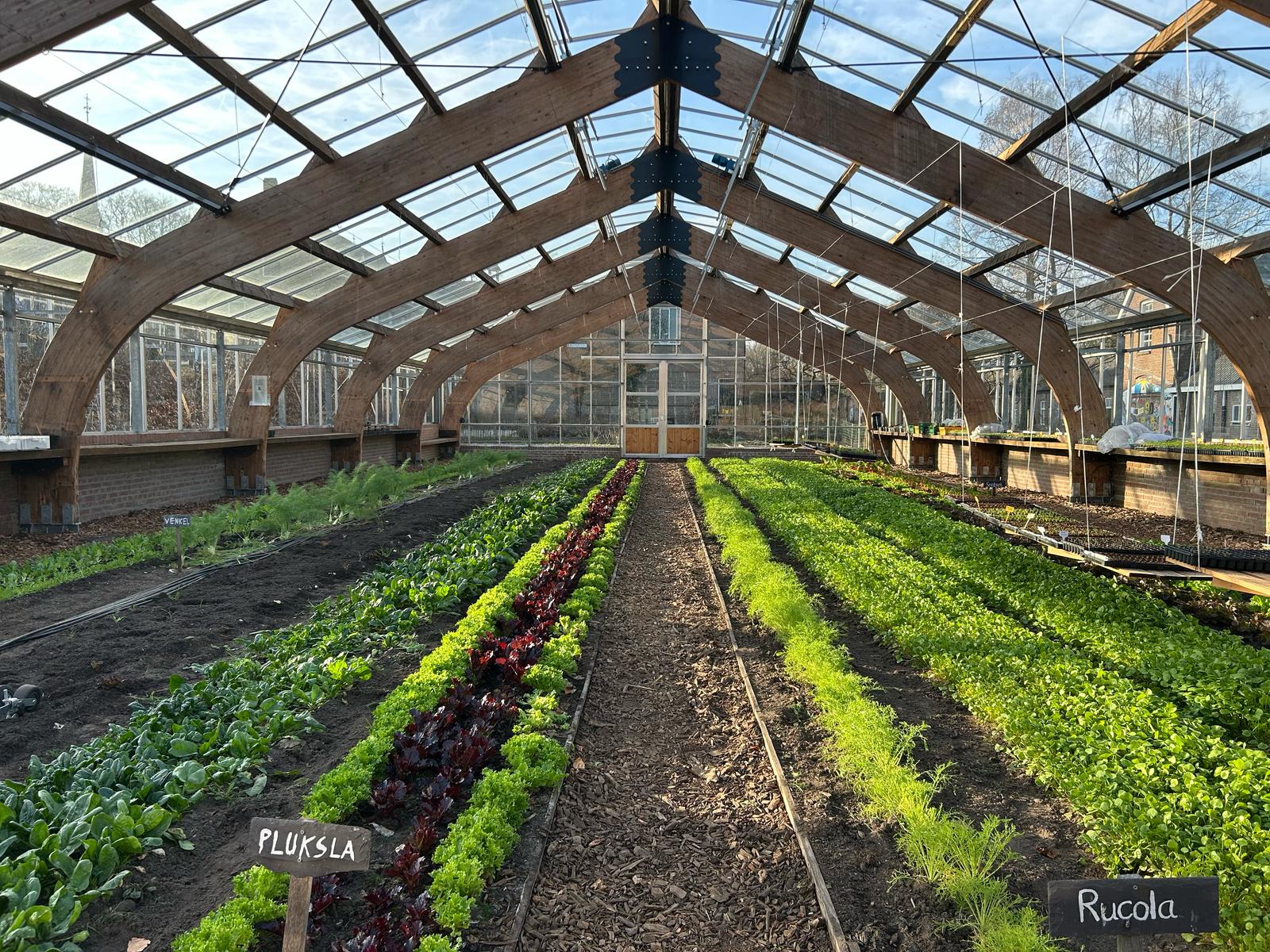 Werken in de moestuin en kas