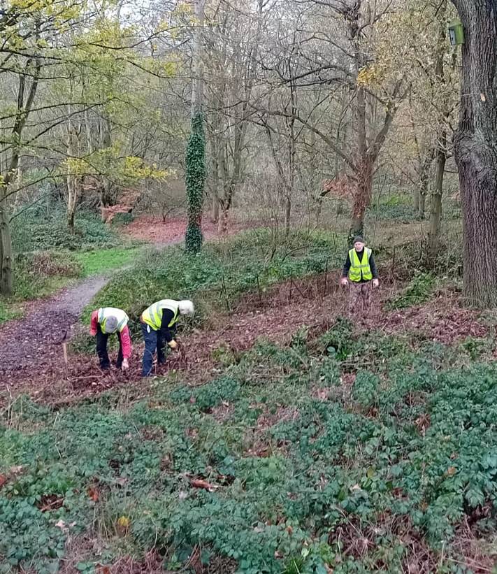 Garden Conservation Volunteer