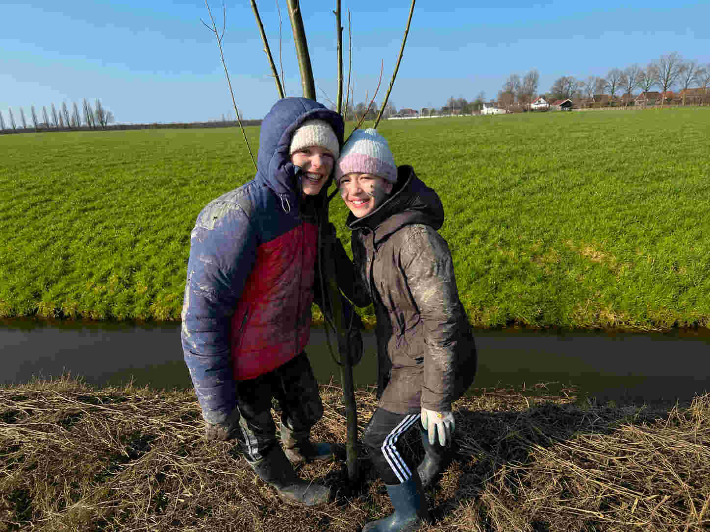 Een boom planten