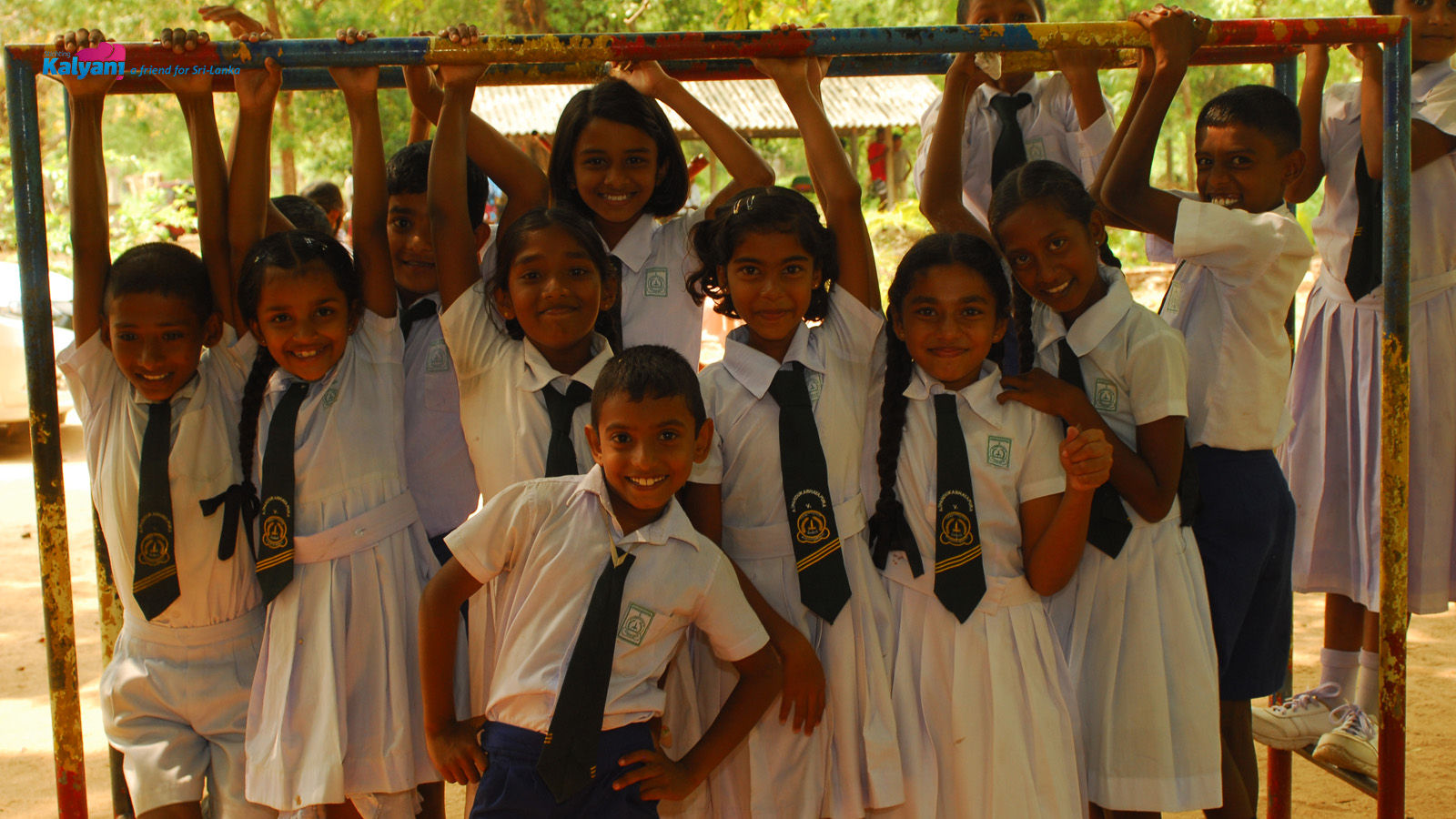 Fondsenwerver / Actiecoördinator