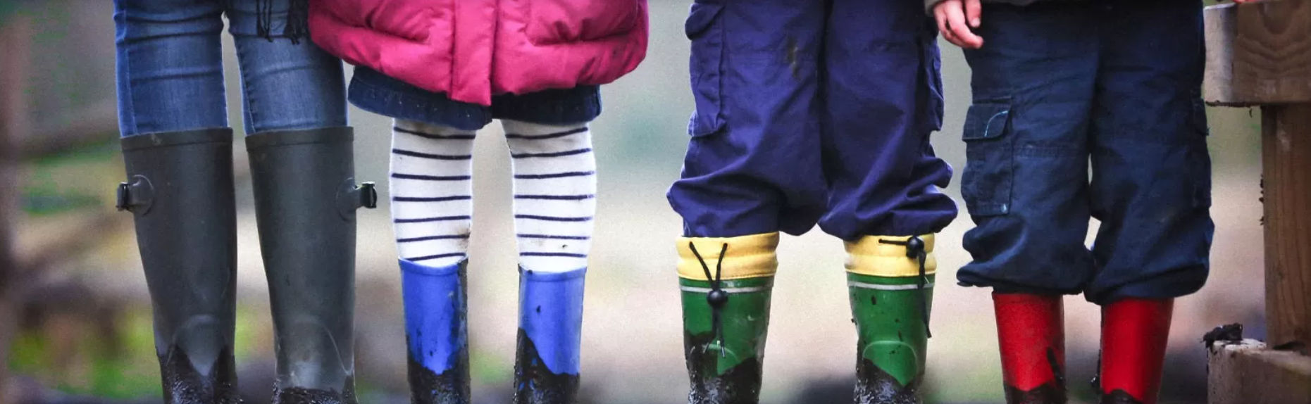 Volunteer Treasurer Minehead