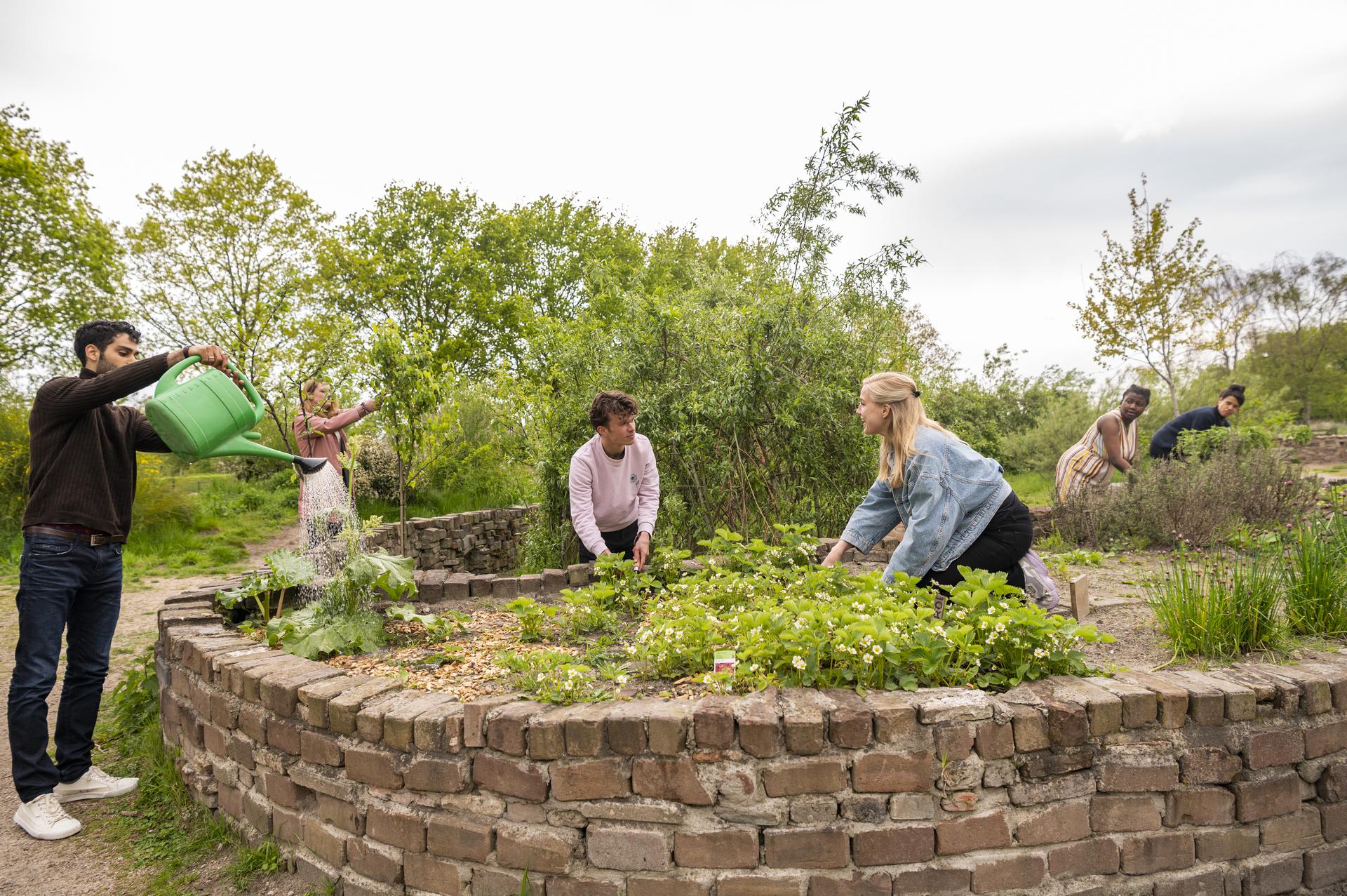 Help jij mee om de moestuin van AZC Zeist tot bloei te laten komen?