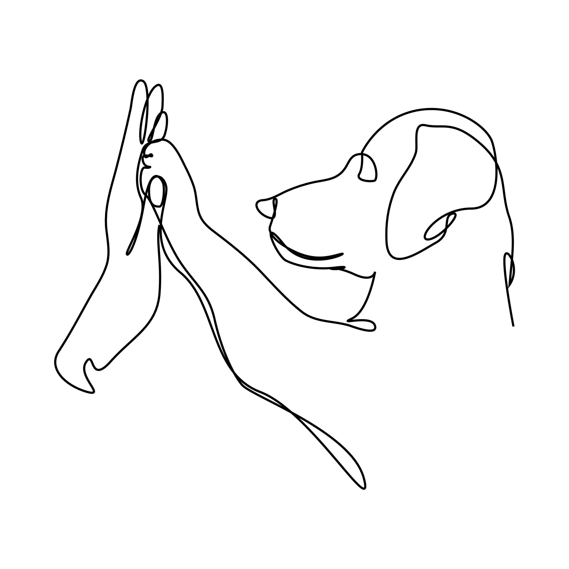 Leuke bezoek hond met baasje gezocht