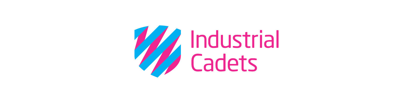 Mentoring for EDT Industrial Cadets Bronze Project - St Albans
