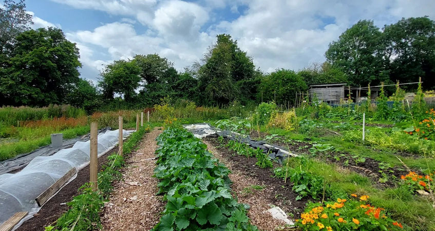 Community Garden Volunteers