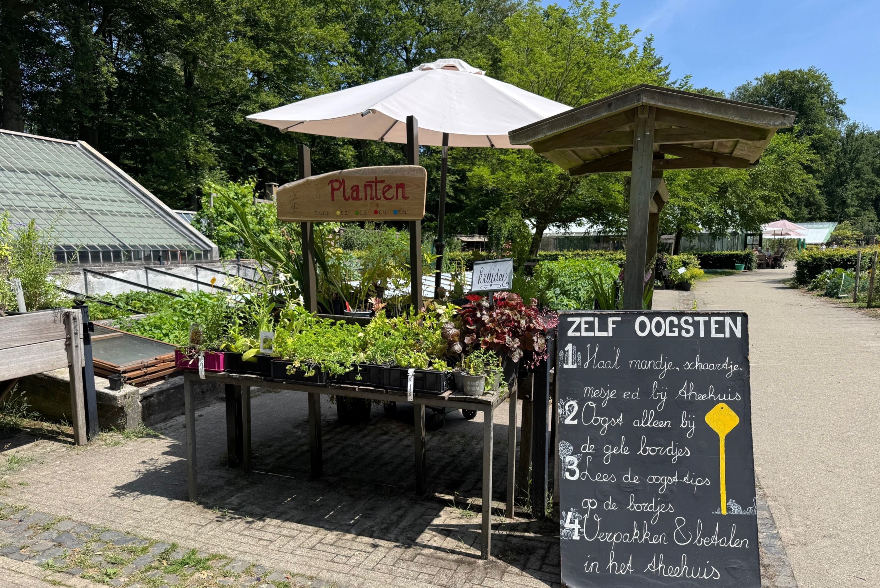 Helpen in het theehuis, moestuin of rosarium van Bartiméus
