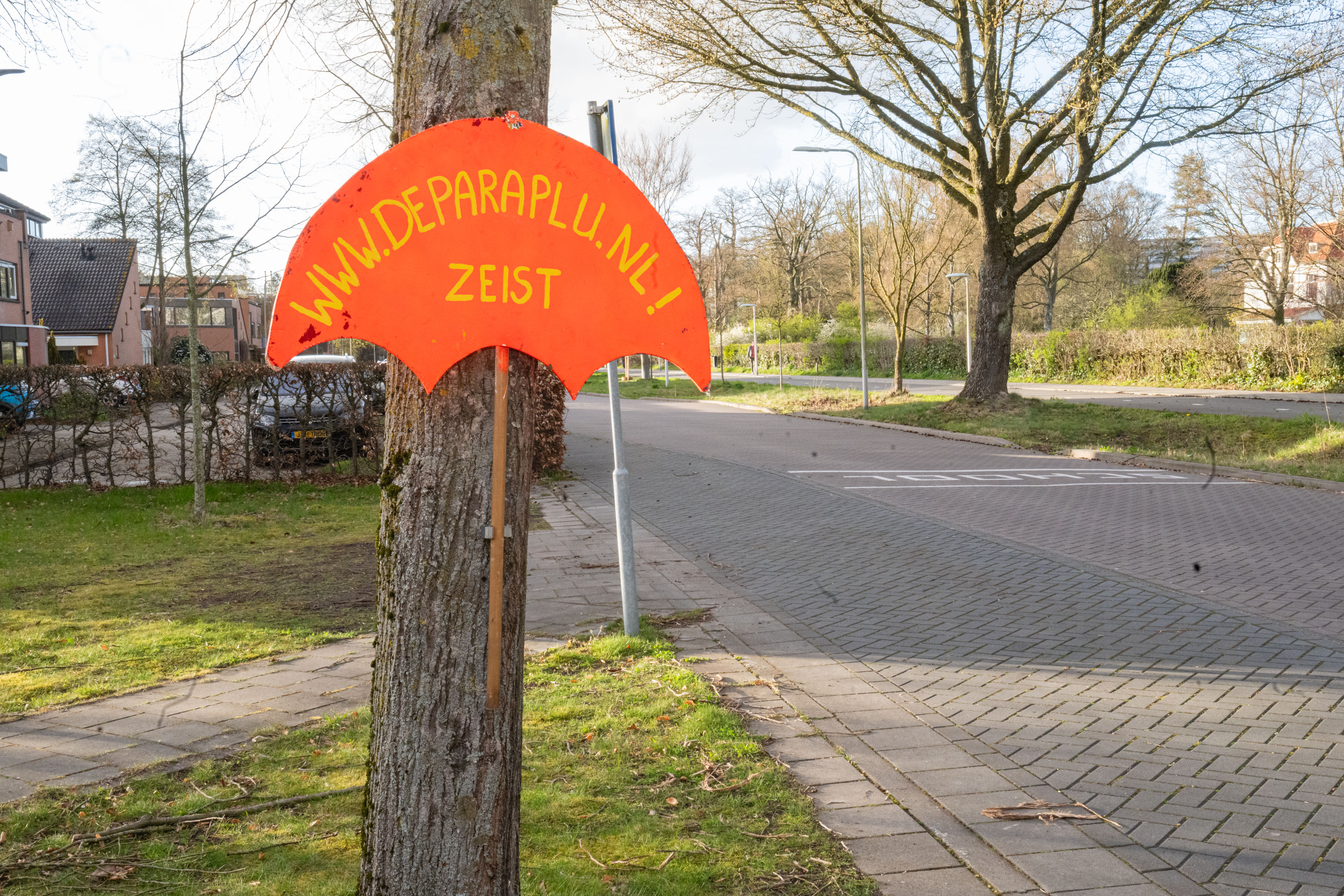 enthousiaste vrijwilliger, coordinator dinsdagactiviteiten