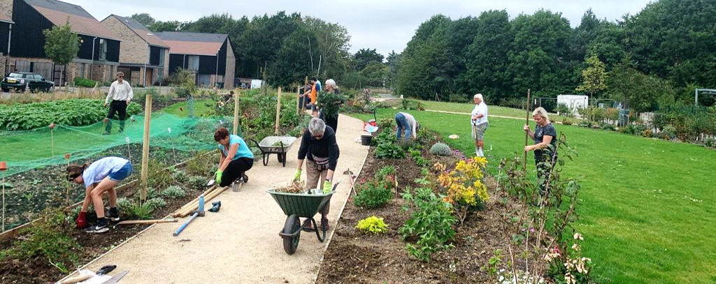 Gardening Volunteer on Thursday mornings