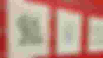 Coordinator Exposities