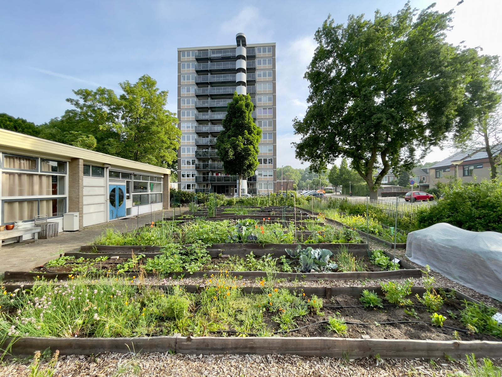 Ecologisch moestuinieren bij Buurthuis Beien