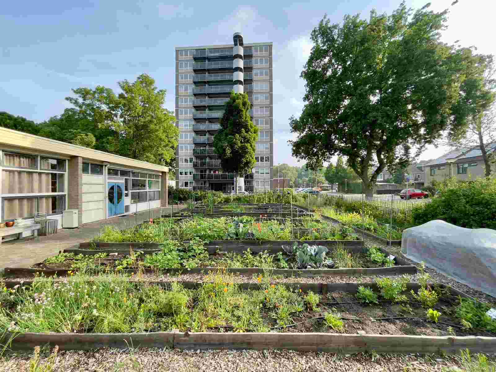 Ecologisch moestuinieren bij Buurthuis Beien