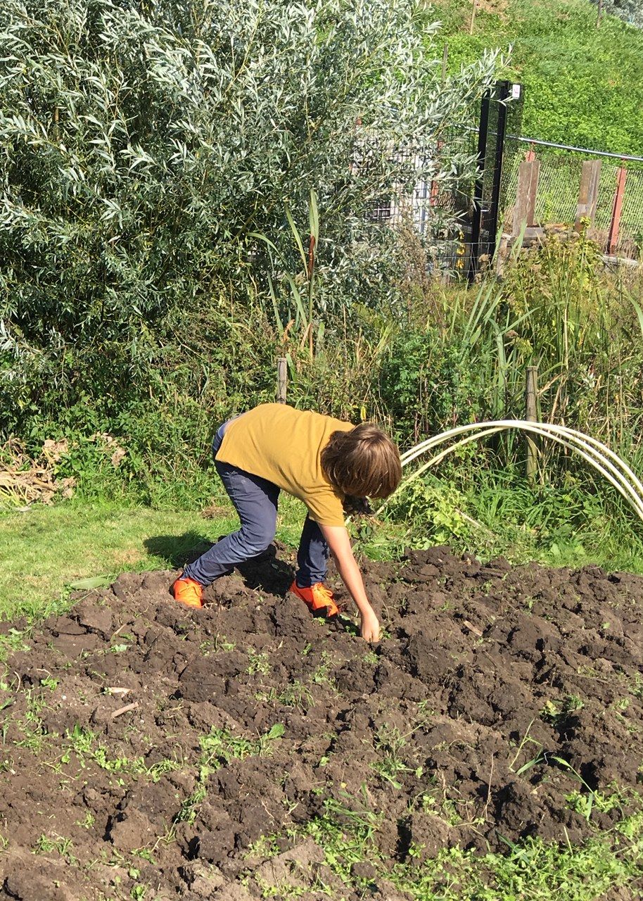 Vrijwilliger School/Moestuin bij MAK Blokweer