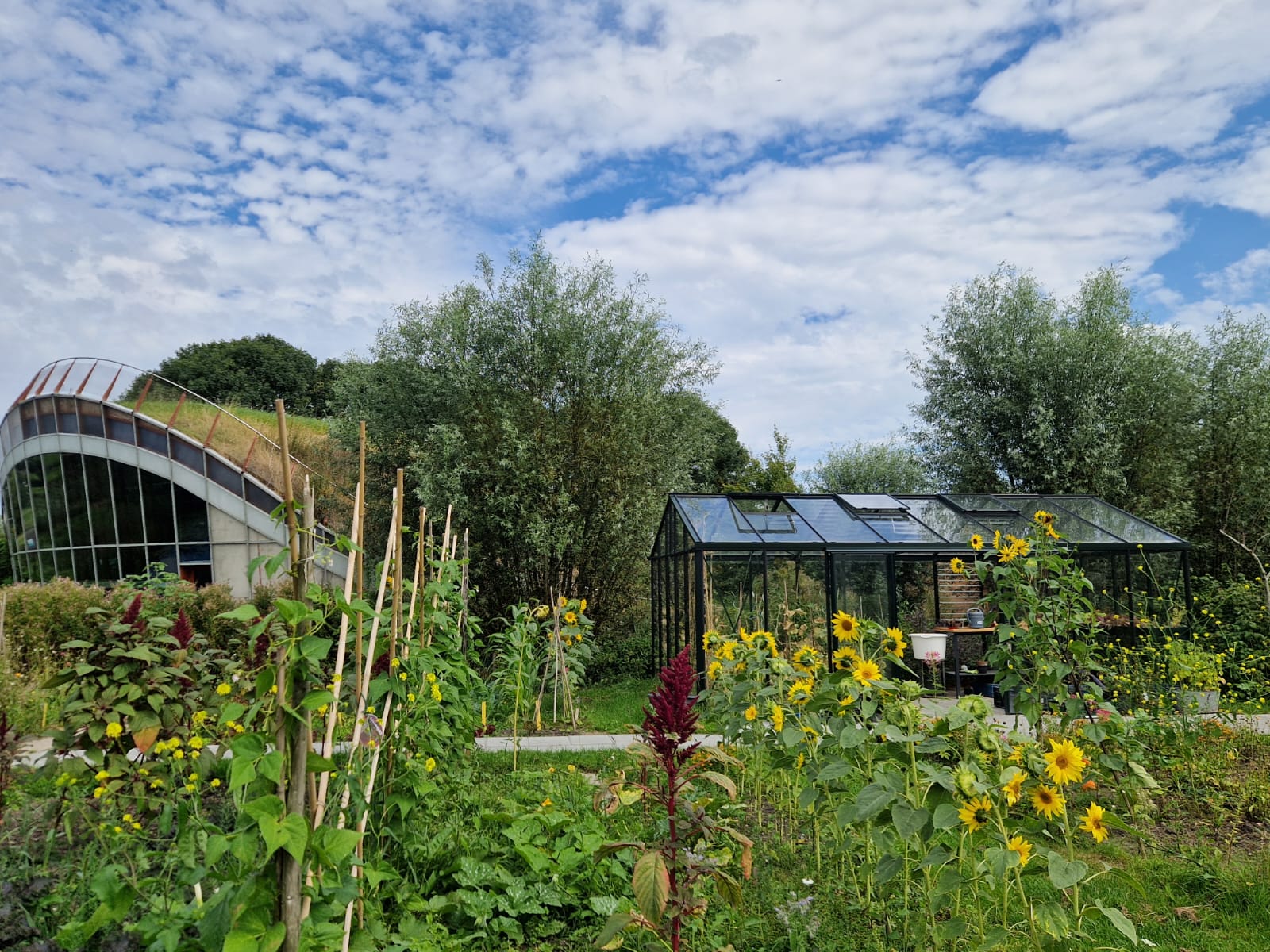 Vrijwilliger Moestuin - MAK Blokweer