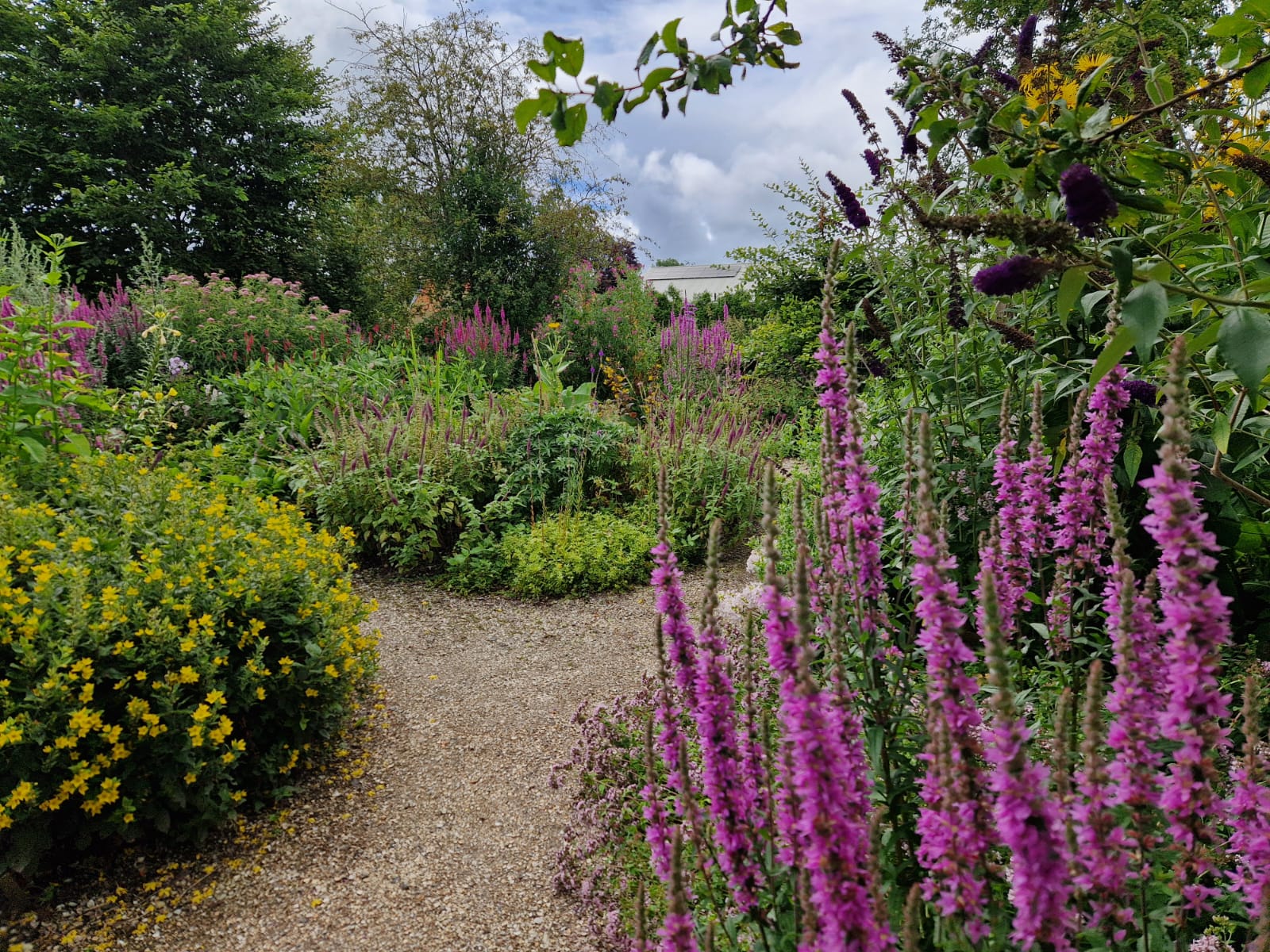 Vrijwilliger Vlindertuin - MAK Blokweer