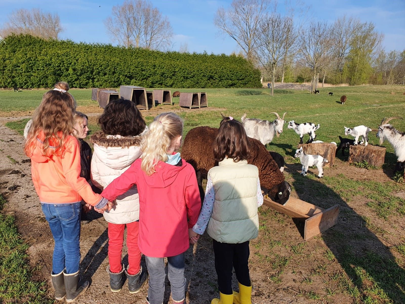 Vrijwilliger Natuur- en Milieu-educatie